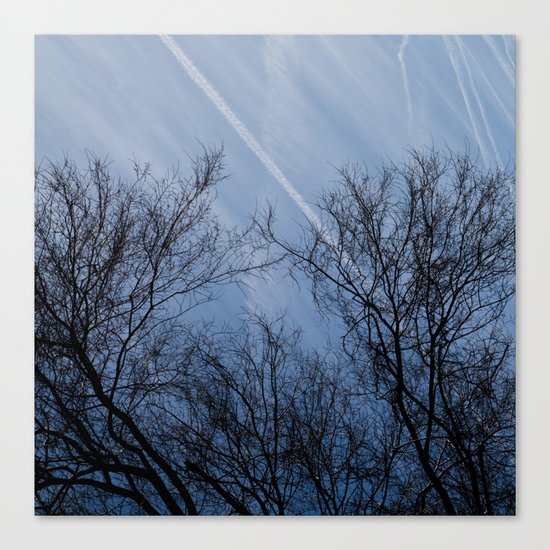 Landscape in the winter Canvas Print