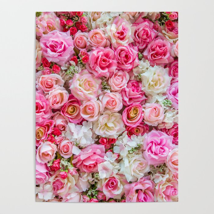 Pink & Red Roses Poster