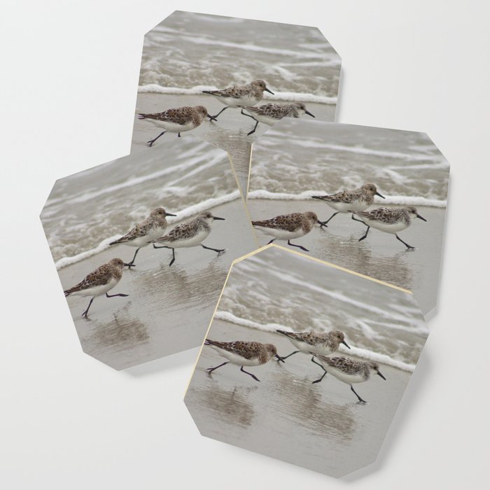 Sandpipers Coaster