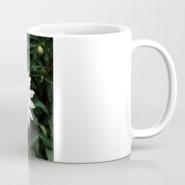 Margarita Coffee Mug | Digital, Nature, Photo 