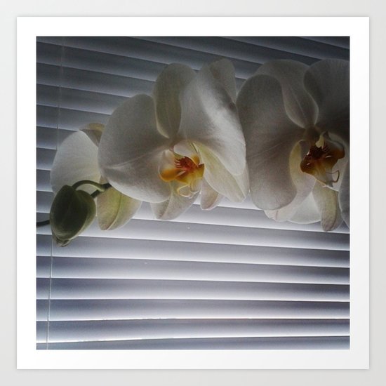 window Art Print
