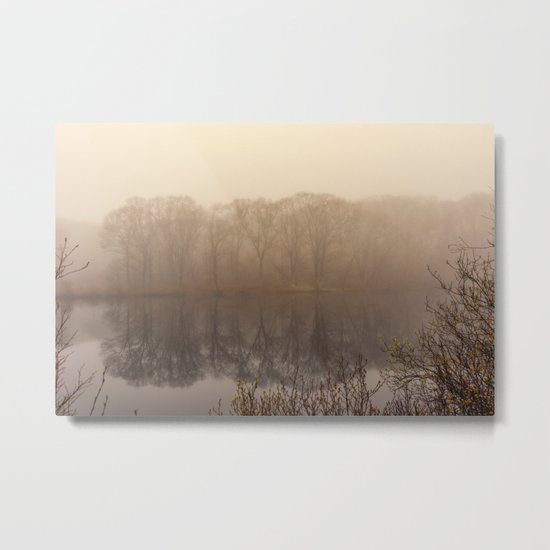 Foggy springtime Reflections Metal Print