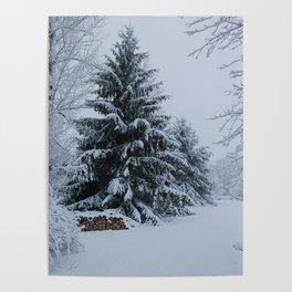 New England Winter Poster