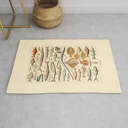 Vintage Fish Diagram // Poissons by Adolphe Millot 19th Century Science Textbook Artwork Rug