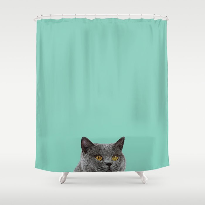 Duck Egg Blue British Short Hair Wall Decor Cat Clock Shower