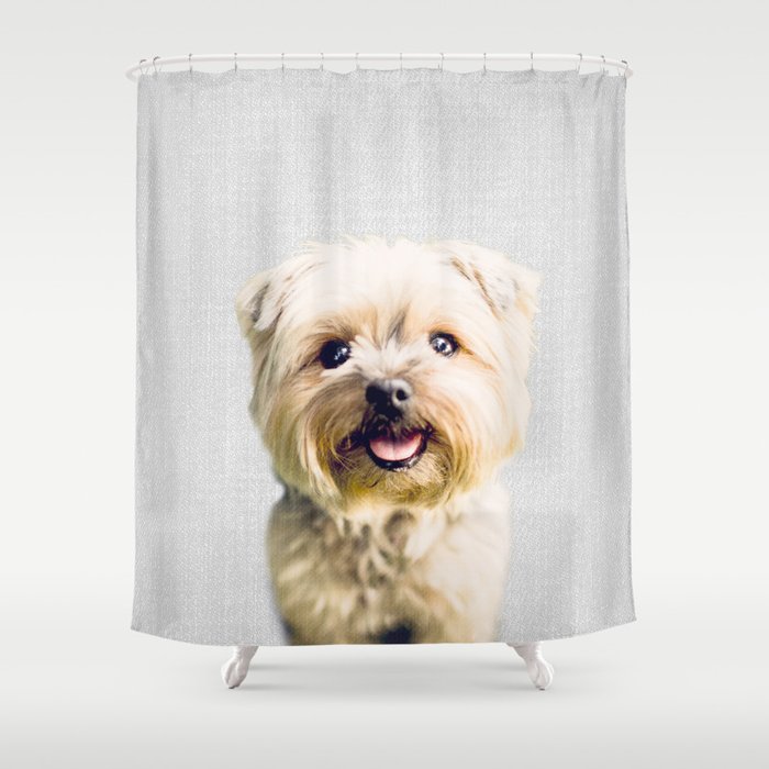 Dog - Colorful Shower Curtain