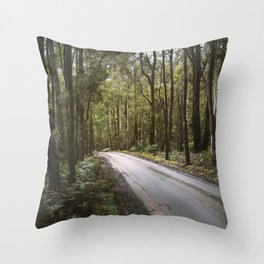 /// Less Travelled /// Throw Pillow