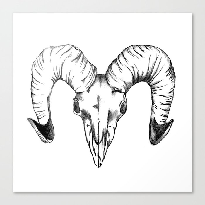 Horns Canvas Print