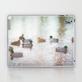 Duck Pond Laptop & iPad Skin