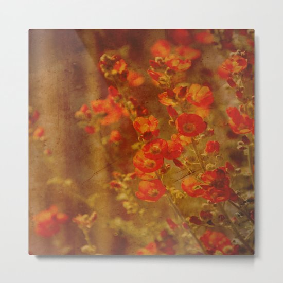 Serenade Metal Print