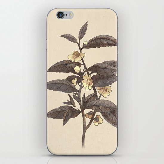Late Bloom iPhone & iPod Skin