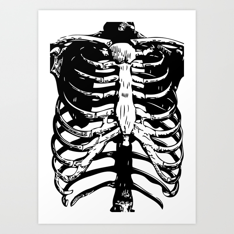 Skeleton Ribs Skeletons Rib Cage Human Anatomy Black And White Art Print By Eclectic At Heart Society6