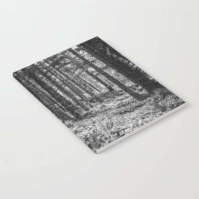 Black and White Forest Notebook