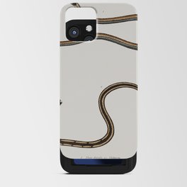 Lined backed Elaps & Chain Spotted Lycodon iPhone Card Case