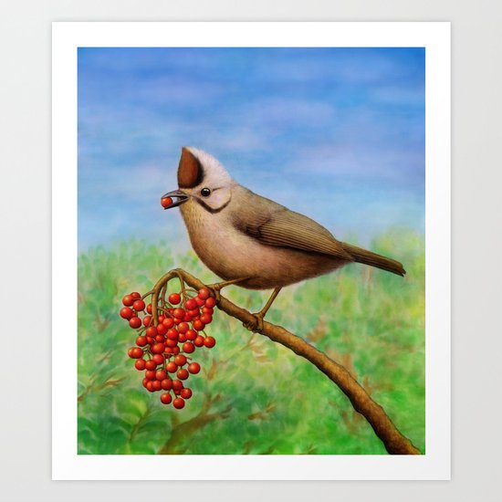 Taiwan Yuhina Art Print