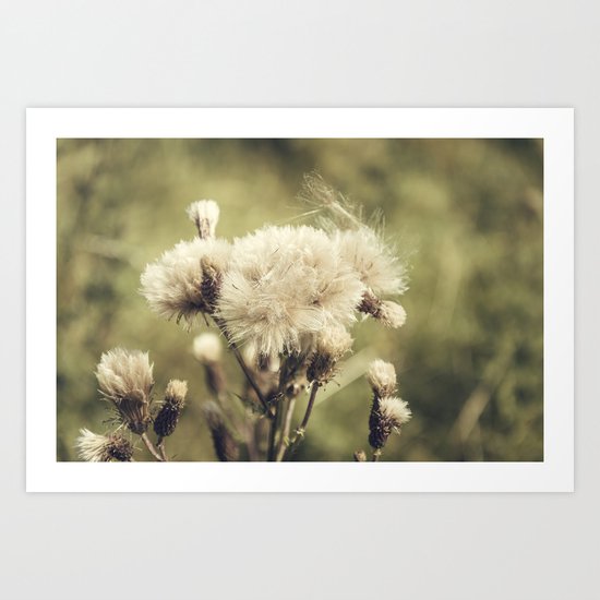 Flowers Art Print