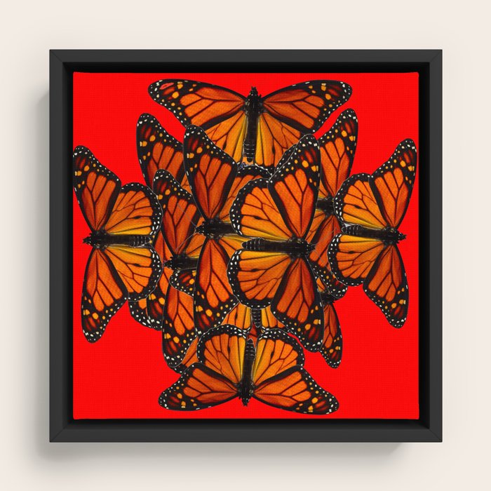Framed Canvas
