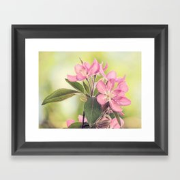 Pink Spring Modern Cottage Chic Flowers Art A460 Framed Art Print