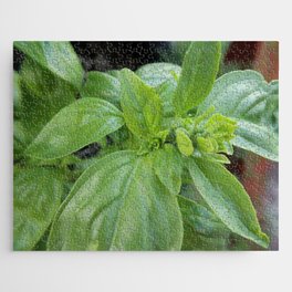 Basil Jigsaw Puzzle