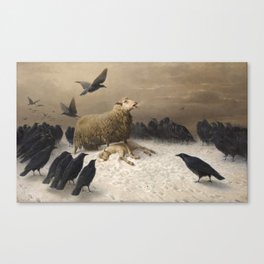 Anguish - August Friedrich Albrecht Schenck - Ravens and Sheep Canvas Print