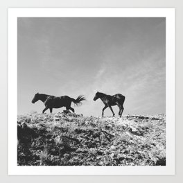 Pryor Mountain Wild Mustangs Art Print