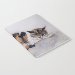 Calico cat Notebook