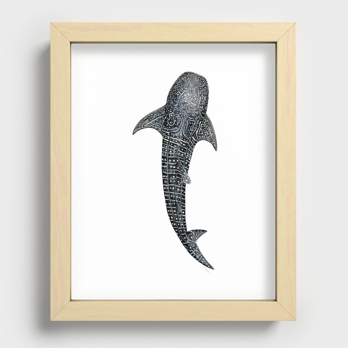 Whale shark for divers, shark lovers and fishermen Recessed Framed Print