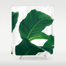 Green Leafs (Color) Shower Curtain