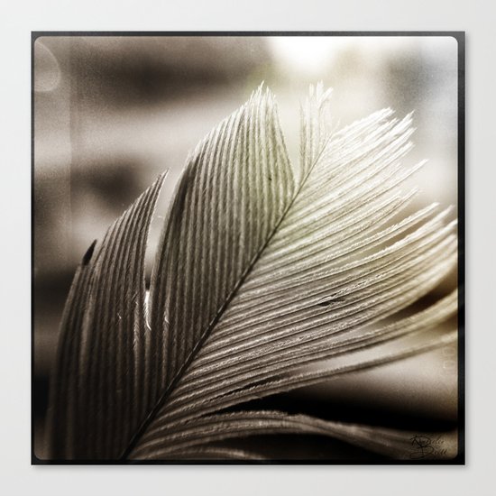 Feather Tip Canvas Print