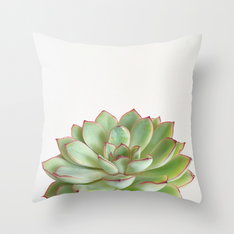 succulent throw pillow