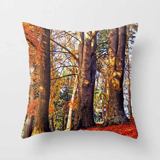 Autumn troika Throw Pillow