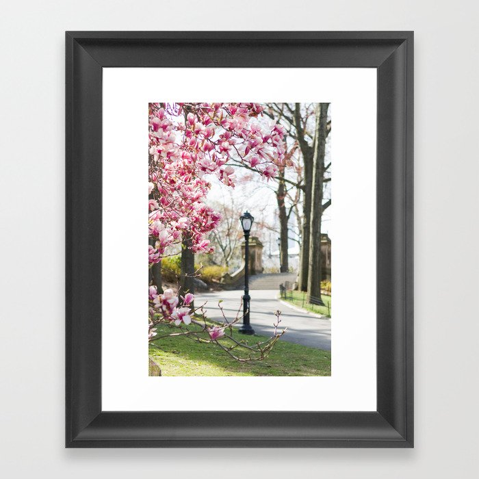 Spring in Central Park Framed Art Print