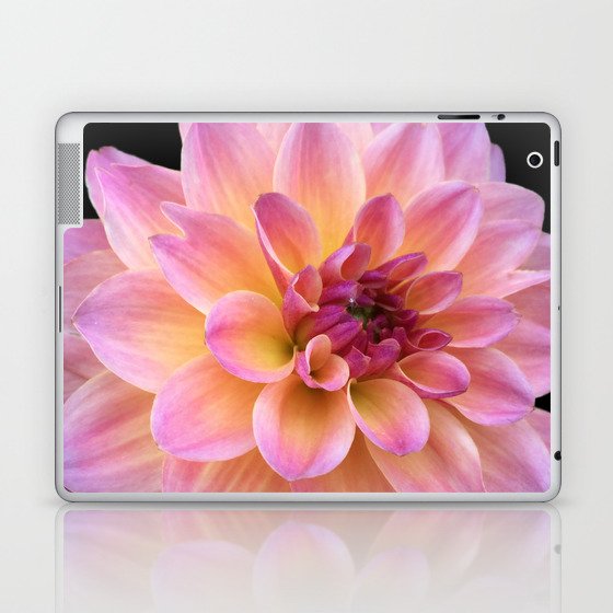 Dahlia in Bloom Laptop & iPad Skin