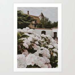 Bruges Flowers | Fine Art Travel Photography Art Print