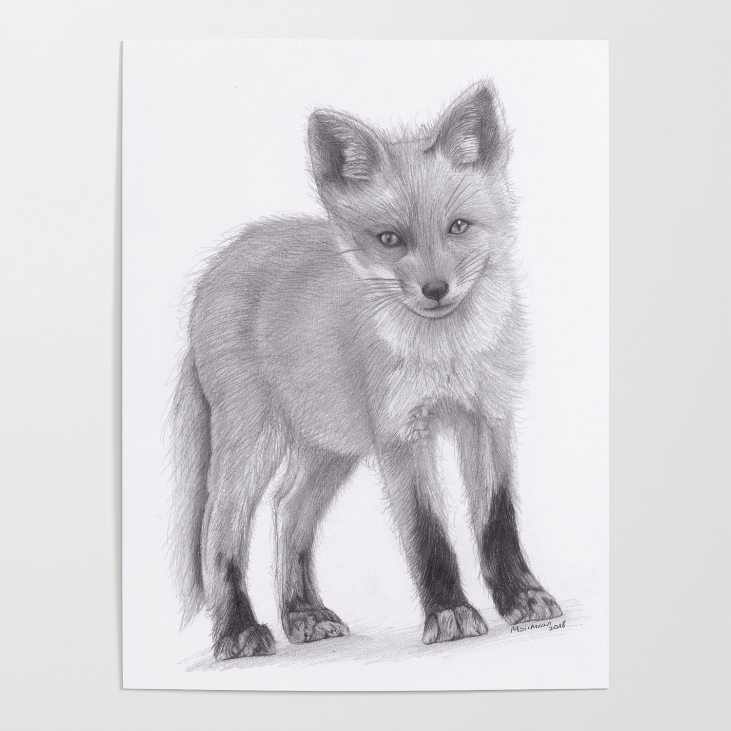 Baby Red Fox Pencil Drawing Wildlife Artwork Poster By Moii Arts Society6