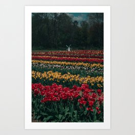 Tulip Town Art Print
