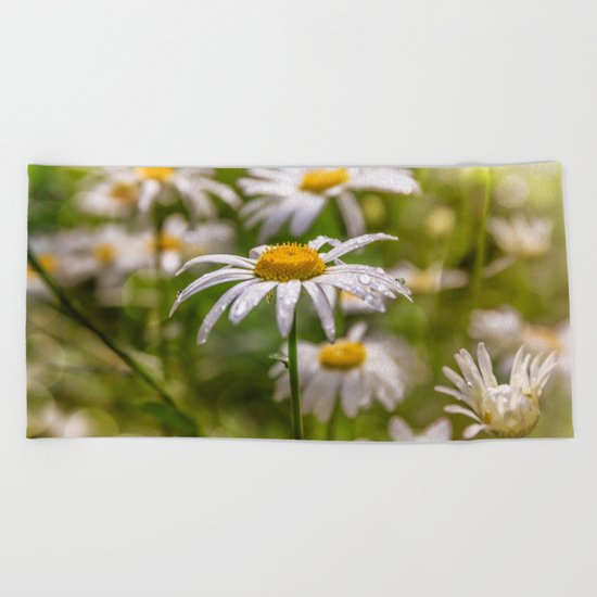 Daisy & raindrops Beach Towel