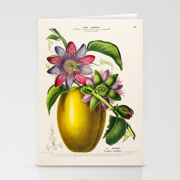 Passionflower and passionfruit from "Flore d’Amérique" by Étienne Denisse, 1840s Stationery Cards