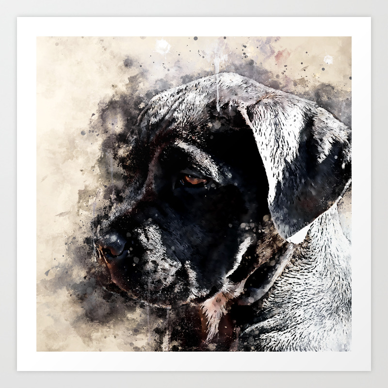 Cane Corso Italian Mastiff Dog Ws Art Print