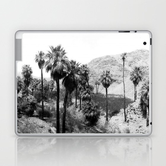 Palm Canyon near Palm Springs c.1901 Laptop & iPad Skin