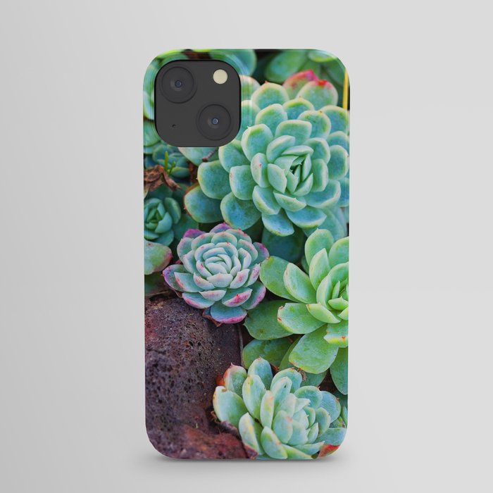 Green Succulents iPhone Case