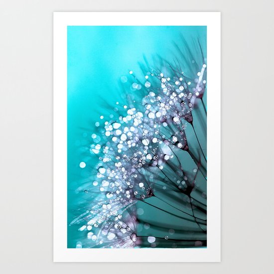 Morning Glory Art Print
