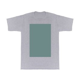 Dark Pastel Blue Green Solid Color Pairs Behr Dragonfly PPU12-03 / Accent Shade / Hue All One Colour T Shirt | Pastelgreen, Sage, Color, Medium, Green, Aquasolid, Solidcolor, Solidaqua, Plain, Pattern 