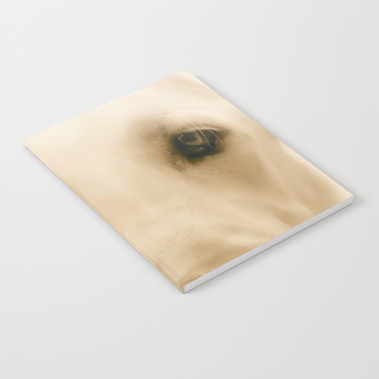Max Notebook