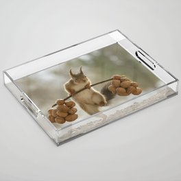 Squirrel the nut carrier Acrylic Tray