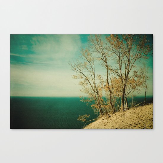 Dare to Leap Canvas Print