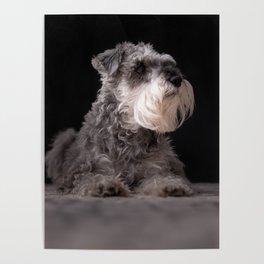 Mans Best Friend is a Dog 83 Poster