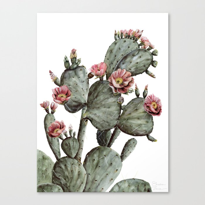 Prickly Pear Cactus Painting Canvas Print By Shealeenlouise Society6