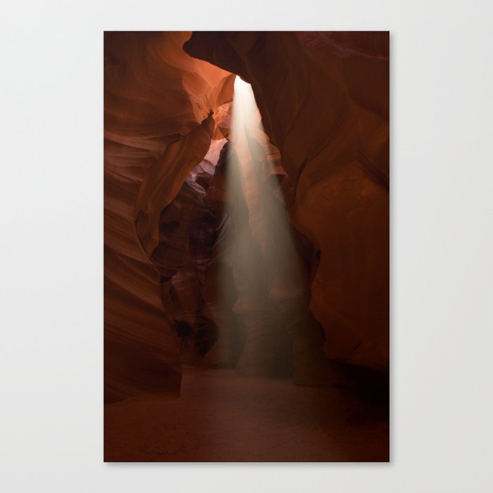 In the Light Canvas Print