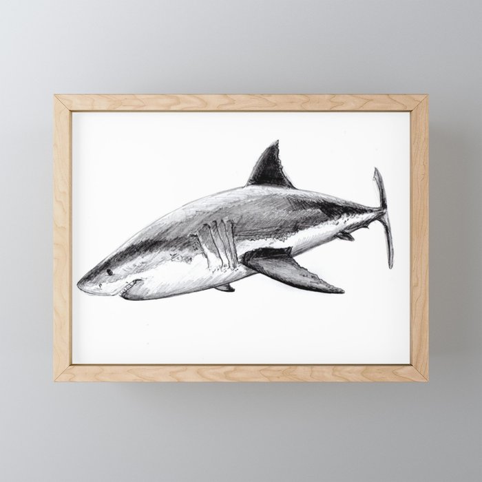 Great White Shark Carcharodon Carcharias Framed Mini Art Print By Chloeyzoard Society6 - Framed Shark Pictures Great White Shark Carcharodon Carcharias Framed Mini Art Print By Chloeyzoard Society6 - Framed Shark Pictures